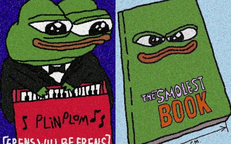 memecoins-criptomoedas-binance-pepe-bome