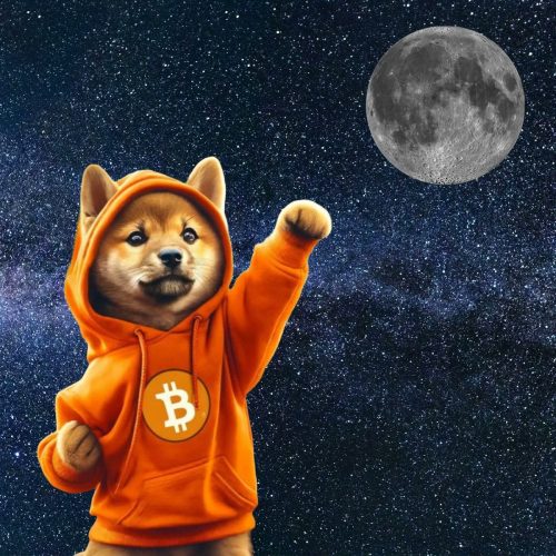 DOG Bitcoin