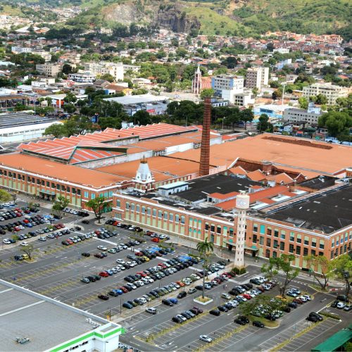 VISC11 novo shopping