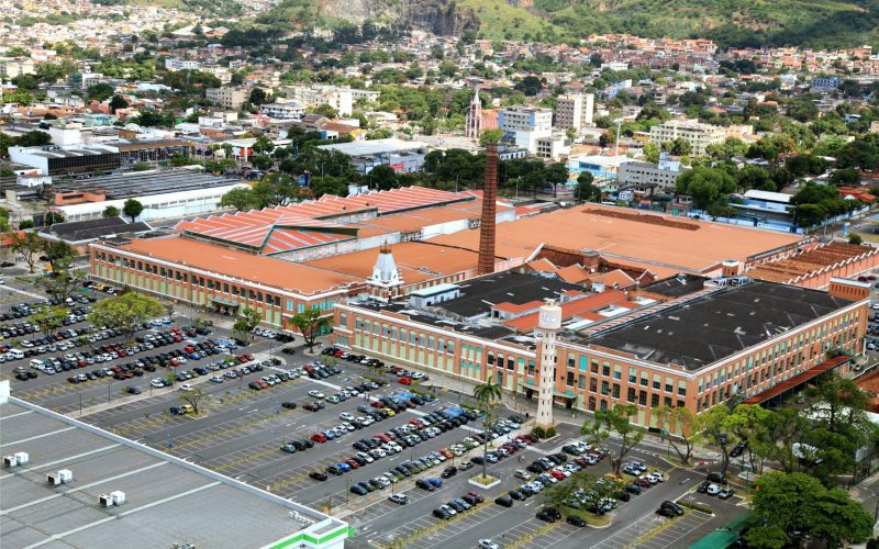 VISC11 novo shopping
